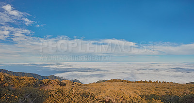 Buy stock photo landscape of open field of yellow grass on a hill for a relaxing outdoor camp or hike in nature while on vacation in La Palma island during autumn. Mountain top at sunset with blue sky and clouds