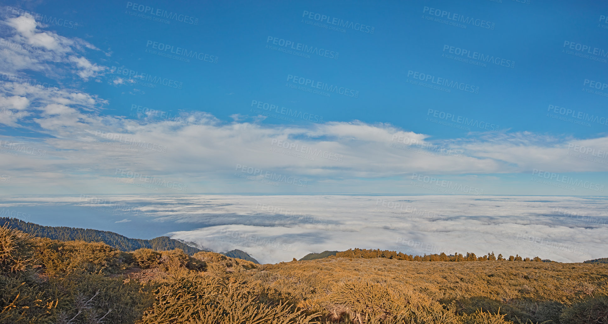 Buy stock photo landscape of open field of yellow grass on a hill for a relaxing outdoor camp or hike in nature while on vacation in La Palma island during autumn. Mountain top at sunset with blue sky and clouds