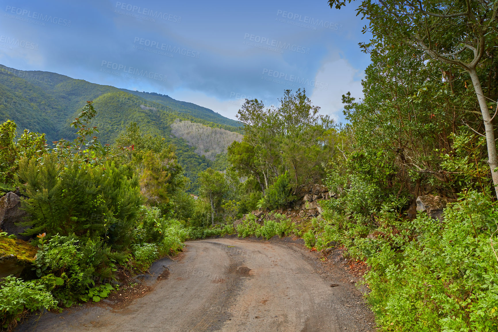 Buy stock photo Photo from the island of La Palma, Spain