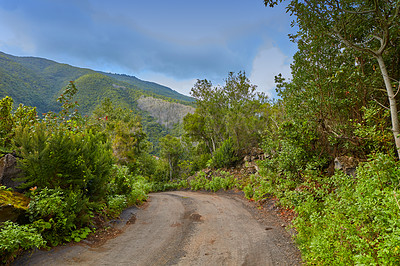 Buy stock photo Photo from the island of La Palma, Spain