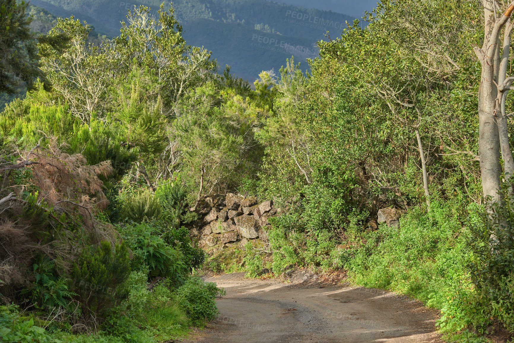 Buy stock photo Photo from the island of La Palma, Spain