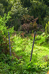 La Palma, Canary Islands