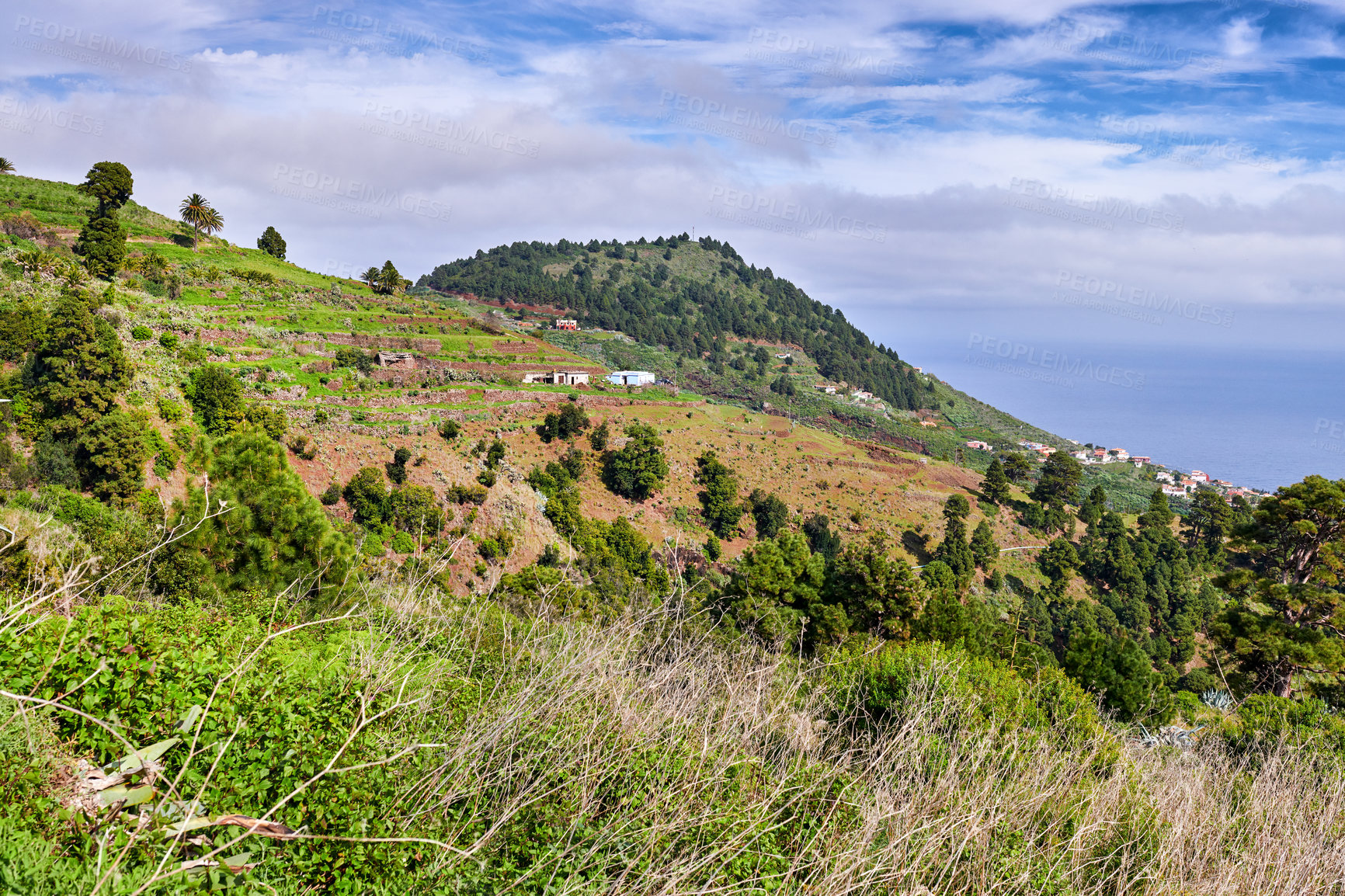 Buy stock photo Photo from the island of La Palma, Spain