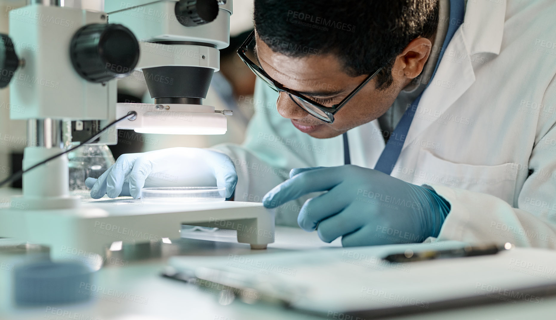 Buy stock photo Shot of a young scientist using a microscope in a lab