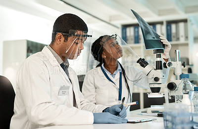Buy stock photo Shot of two scientists working together in a lab