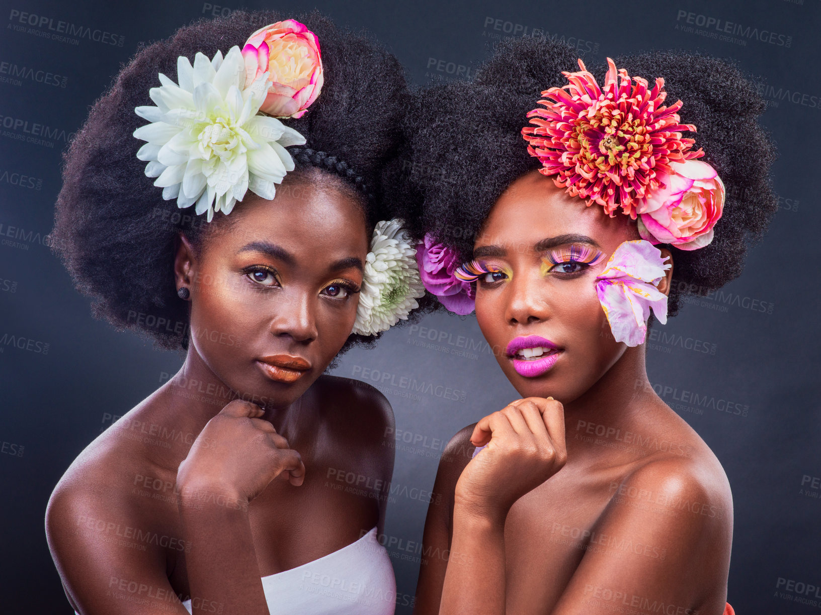 Buy stock photo Portrait, makeup and black women with flowers in studio for organic cosmetics, makeover or skin glow on dark background. Beauty, afro and models with carnation for wellness, aesthetic or lipstick