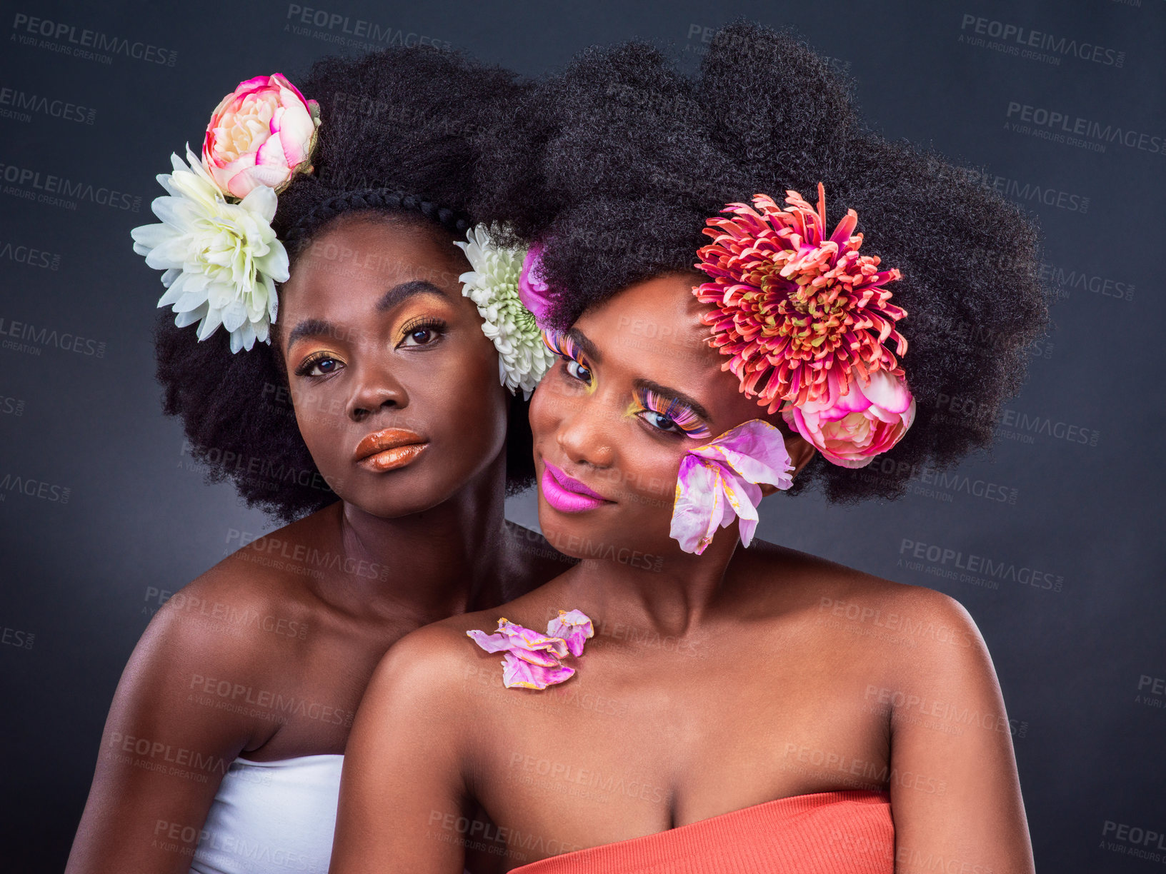Buy stock photo Portrait, beauty and black women with flowers in studio for organic cosmetics, makeover or skin glow on dark background. Makeup, afro and models with carnation for wellness, aesthetic or lipstick