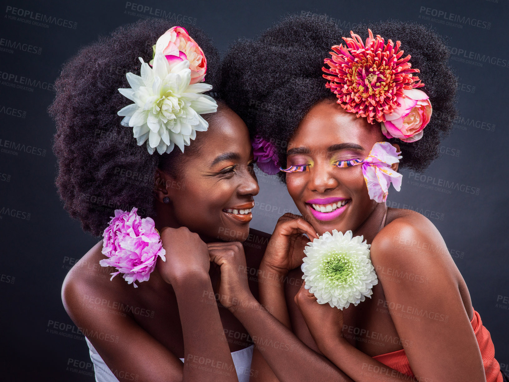 Buy stock photo Black women, beauty and afro with flowers in studio for organic haircare as friends, grey background or cosmetics. Female people, smile and blooming floral with makeup skincare, eyelash or creative