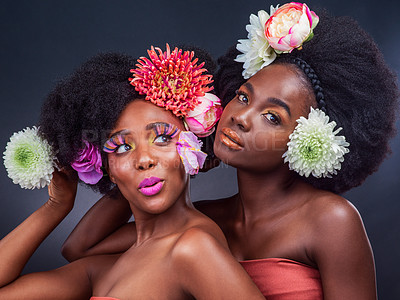 Buy stock photo Black women, beauty and afro with flower cosmetics for organic haircare as friends, grey background or environment. Female people, smile and blooming floral with makeup skincare, eyelash or studio