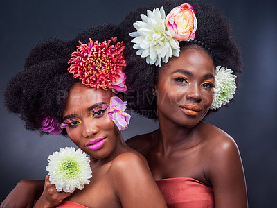 Buy stock photo Black women, portrait and flower afro in studio with beauty makeup or organic, eco friendly or dark background. Female people, friends and eyelash cosmetics with haircare, blooming or sustainable