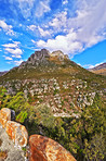 Mountain wilderness - Western Cape
