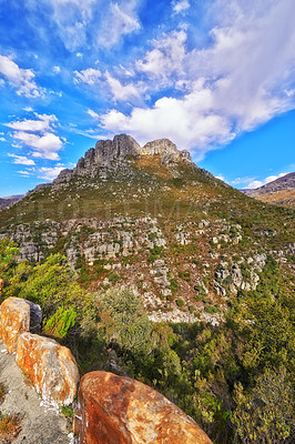 Buy stock photo Rocky mountain with trees and grass on a beautiful sunny summer day. Serene, calm slope with no people in peaceful natural environment. Summit is located in the Western Cape of South Africa