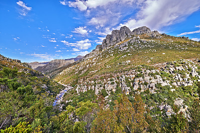 Mountain wilderness - Western Cape