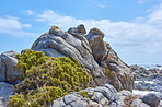 Rocky coast - West Coast National Park