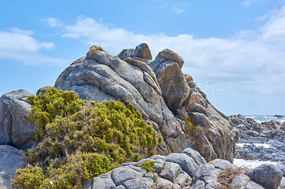 Buy stock photo Rocky coast in West Coast National Park,  Western Cape, South Africa.