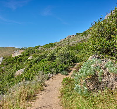 Buy stock photo Scenic hiking trail along Table Mountain, Cape Town in South Africa with lush plants against a clear blue sky background. Panoramic view of beautiful and rugged natural landscape to explore