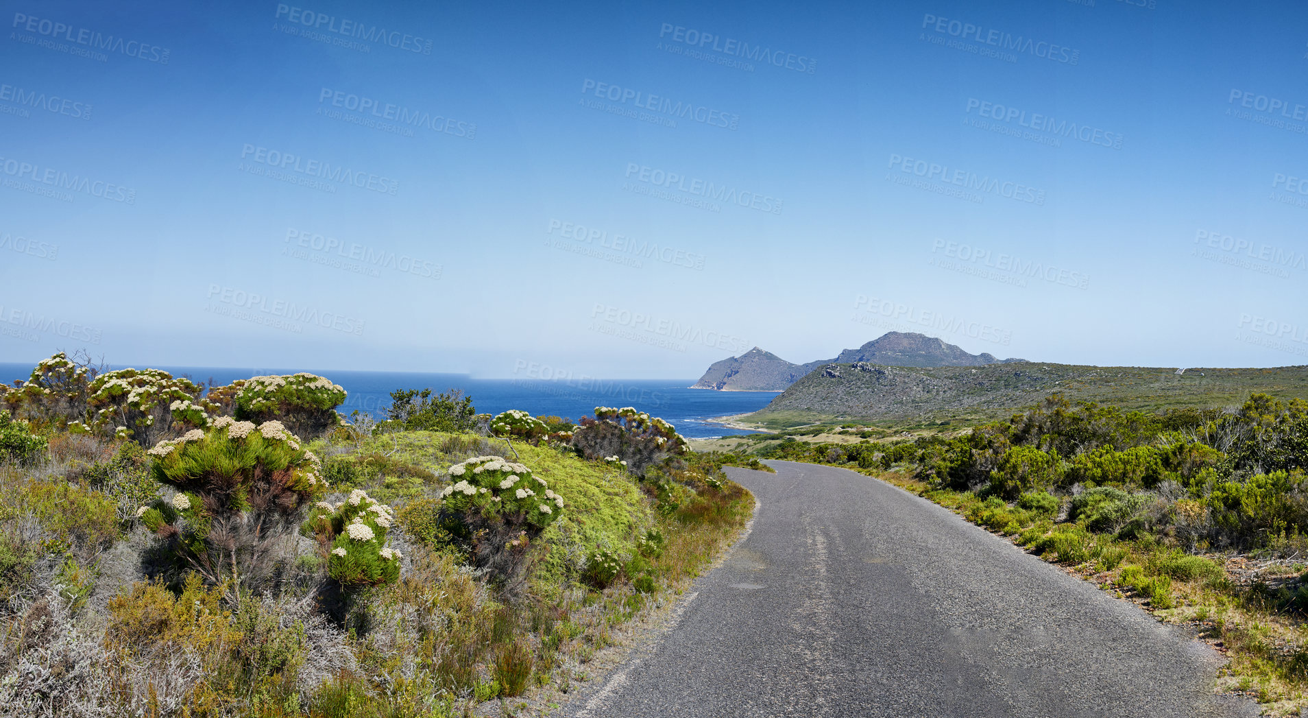 Buy stock photo The wilderness of Cape Point National Park, Western Cape, South Africa