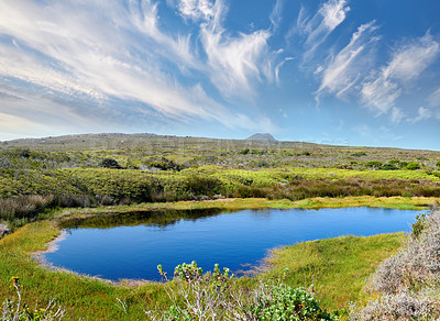 Buy stock photo Small waterhole in the wilderness of Cape Point National Park, Western Cape, South Africa