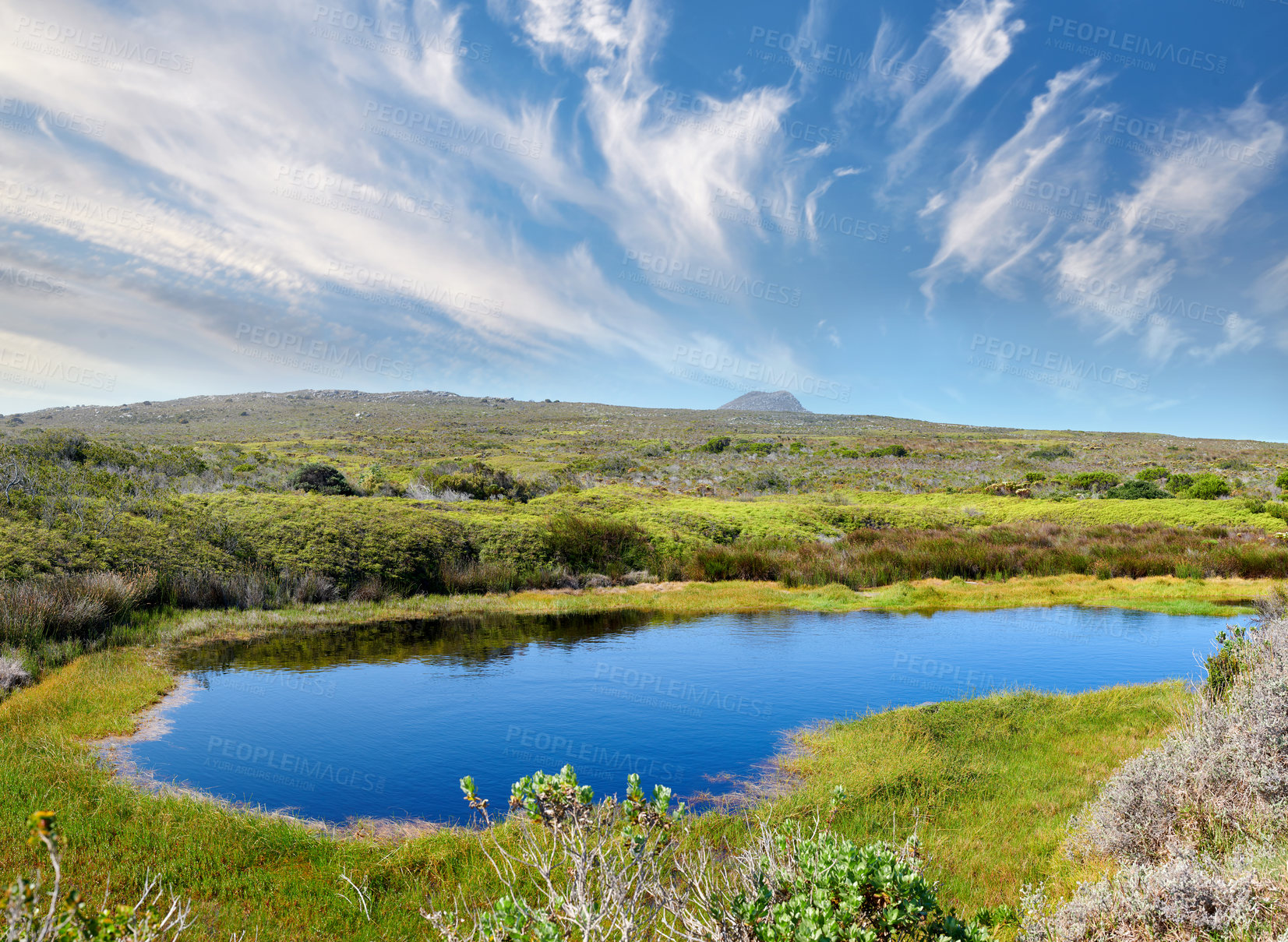 Buy stock photo Small waterhole in the wilderness of Cape Point National Park, Western Cape, South Africa