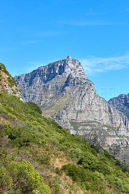 Buy stock photo A landscape of a mountain with trees and shrubs on a famous tourism and hiking site on Table Mountain for nature explorers. Wild plants in their natural environment at a national park on a sunny day 