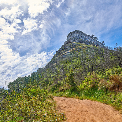 Mountain trails - Lion's Head and Table Mountaion