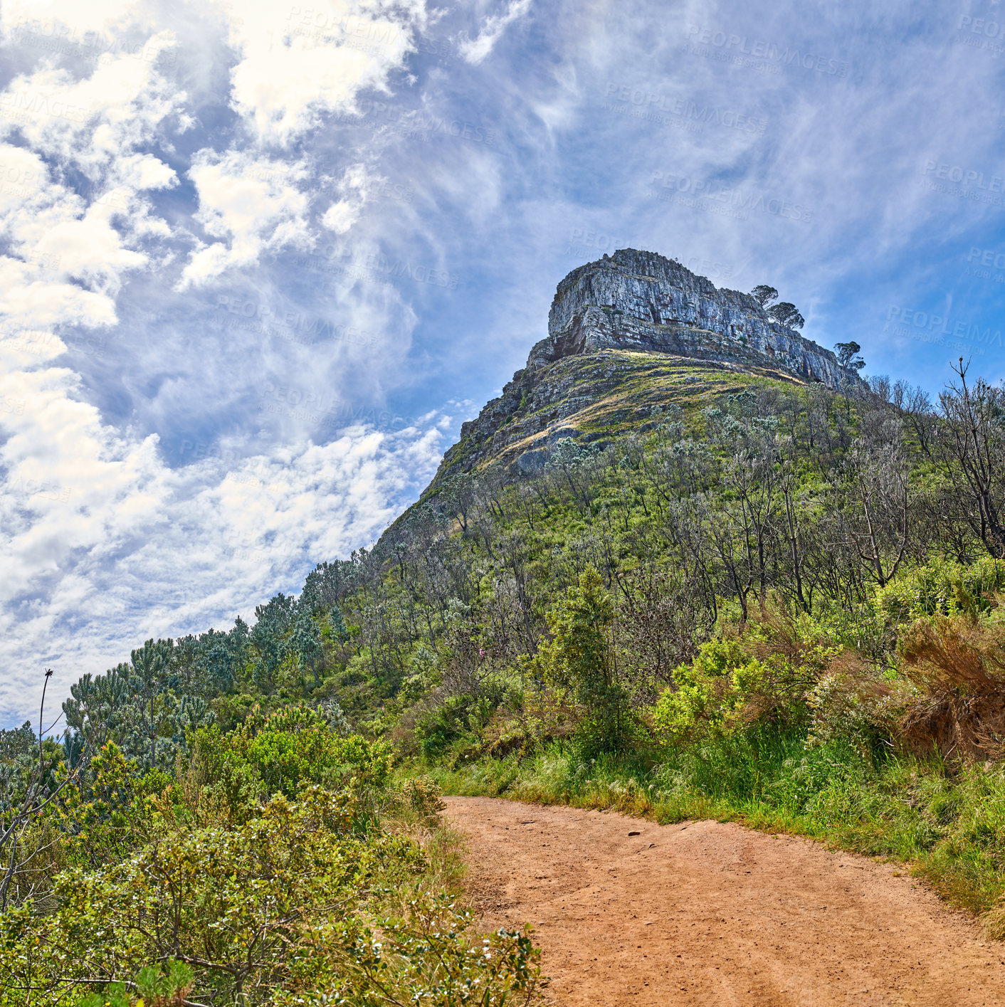 Buy stock photo A hiking trail up a mountain with lush green grass and plants on a summer day with a cloudy blue sky. A peak surrounded by foliage and nature with copy space. Beautiful landscape path near a summit