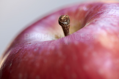 Buy stock photo A photo of tasty and beautiful apples in my garden