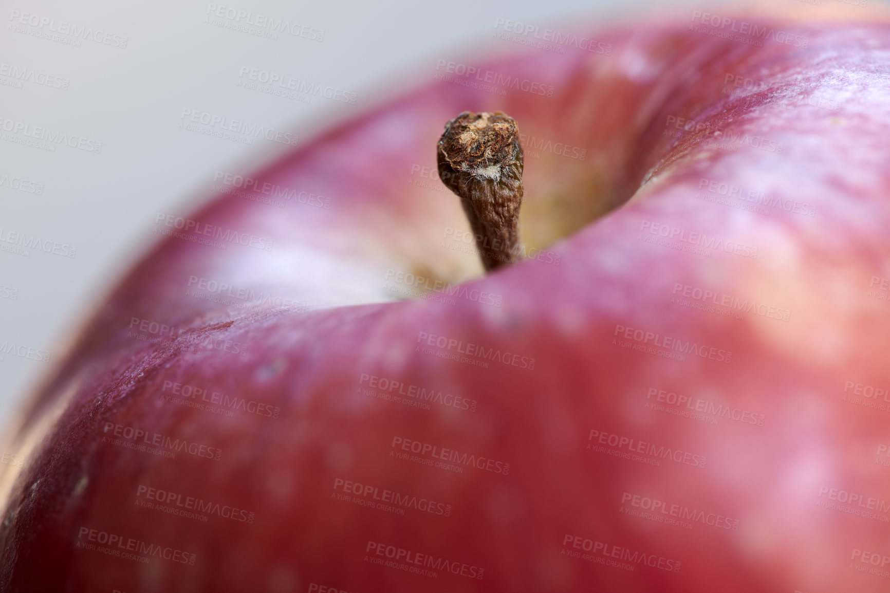 Buy stock photo A photo of tasty and beautiful apples in my garden