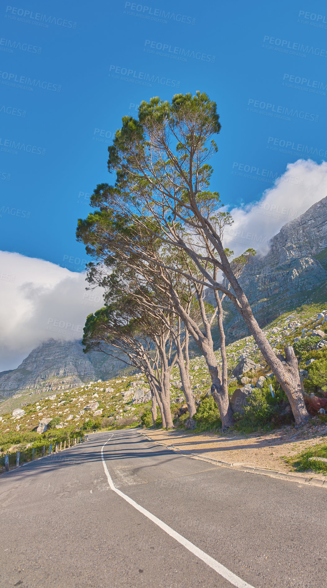 Buy stock photo Countryside road by the mountains winding through a scenic rocky hill. Street on the mountain with green trees and cloudy blue sky copy space. A nature path for traveling or hiking in Cape Town