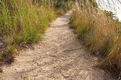 Buy stock photo Scenic hiking trail through grassland along a mountain. Closeup of a rugged and sandy path in nature to explore during a walk in the fresh air outdoors. Remote and quiet landscape in the wilderness