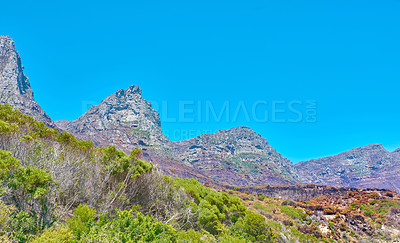 Buy stock photo Copyspace and landscape of The Twelve Apostles mountain with lush pasture, flowers and blue sky copy space. Vegetation on a grassy slope or cliff with hiking trails to explore Cape Town, South Africa