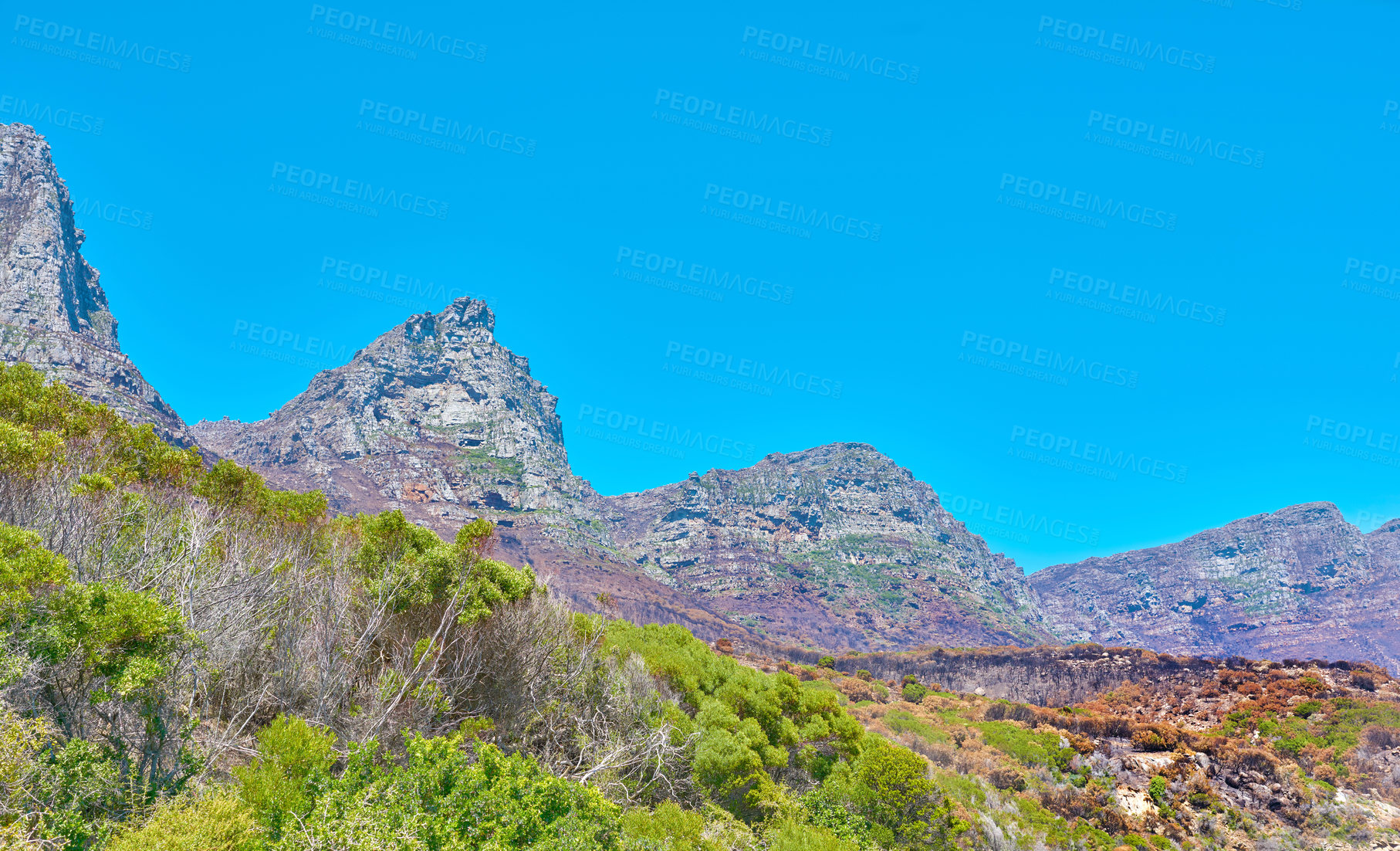 Buy stock photo Copyspace and landscape of The Twelve Apostles mountain with lush pasture, flowers and blue sky copy space. Vegetation on a grassy slope or cliff with hiking trails to explore Cape Town, South Africa