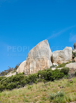 Buy stock photo Beautiful nature surrounding Table mountain in Cape town, South Africa with copy space. Lush green bushes growing in quiet harmony. Peaceful soothing atmosphere of nature on a clear, sunny morning
