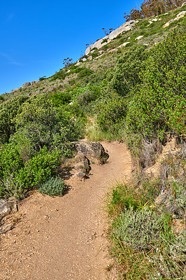 Buy stock photo A hiking trail on a rocky green mountain. Beautiful landscape of a dirt road leading through thick wild bushes and plants on a hill with blue sky copy space. A discovery or explore path in nature
