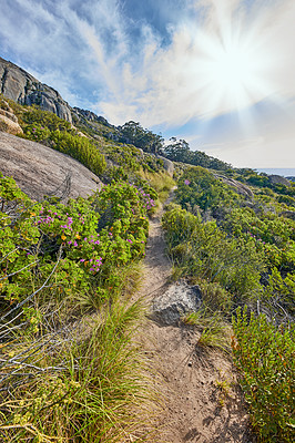 Buy stock photo A mountain trail with cloudy blue sky and lensflare. Landscape of countryside dirt road for hiking on adventure walks along a beautiful scenic trail with lush shrubs in Cape Town, South Africa