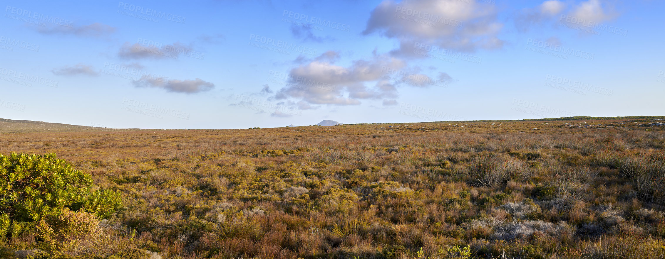 Buy stock photo The wilderness of Cape Point National Park, Western Cape, South Africa