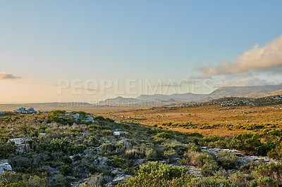 Buy stock photo The wilderness of Cape Point National Park, Western Cape, South Africa