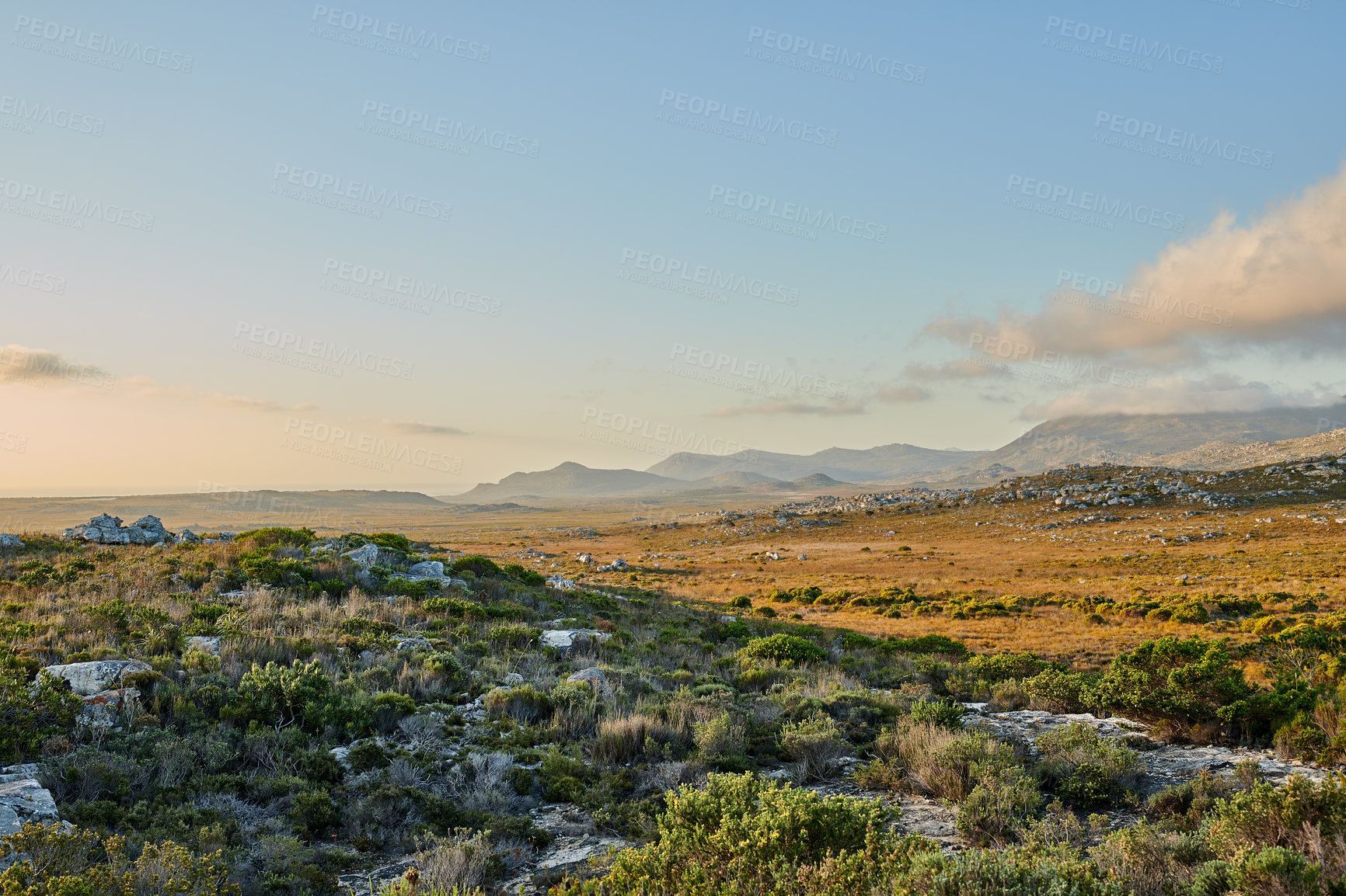 Buy stock photo The wilderness of Cape Point National Park, Western Cape, South Africa