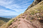 Mountain trails - Lion's Head and Table Mountaion