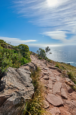 Buy stock photo A hiking trail in the coastal location of Lion's Head, Table Mountain National Park in Cape Town. Beautiful landscape of a hiking path surrounded by nature and the ocean on a summer day