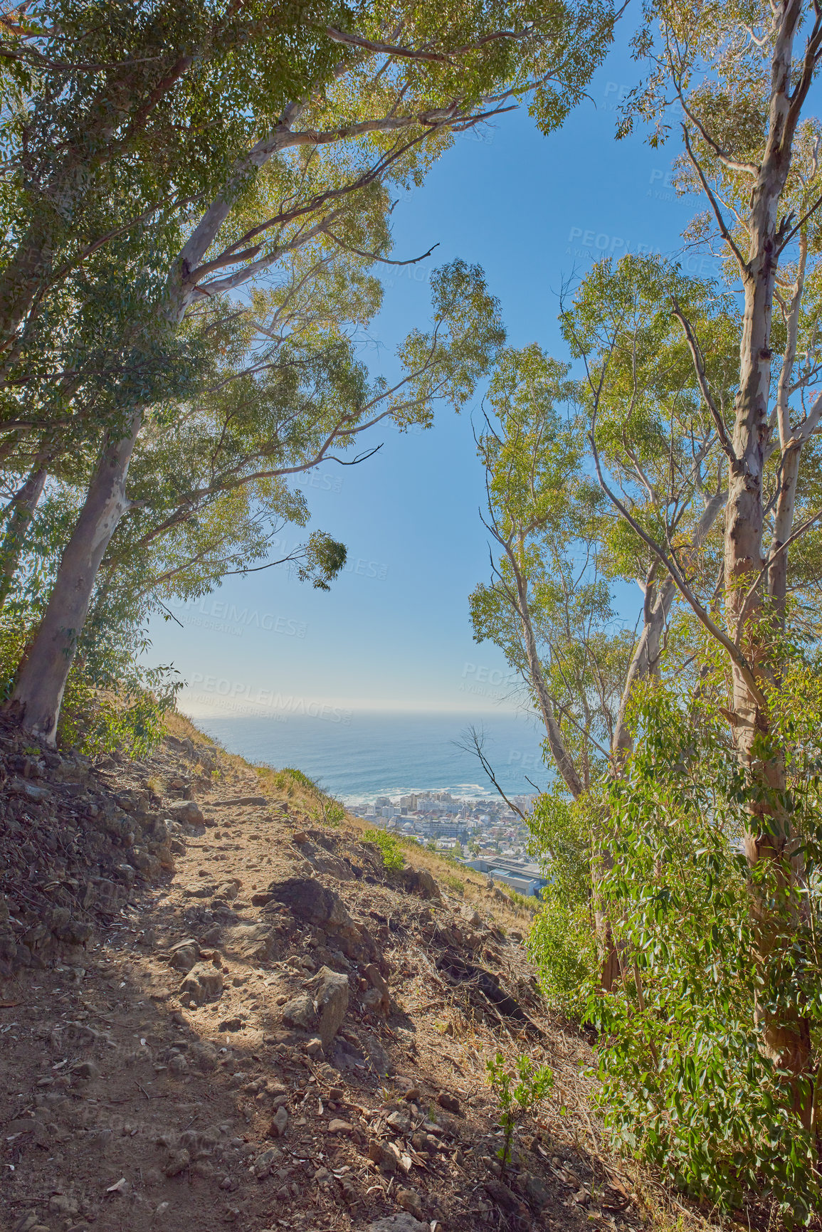 Buy stock photo Hiking trail with a scenic view of the blue sky and sea from Table Mountain National Park, Cape Town, South Africa. Steep rocky path surrounded by green trees. A view of the city from the wilderness