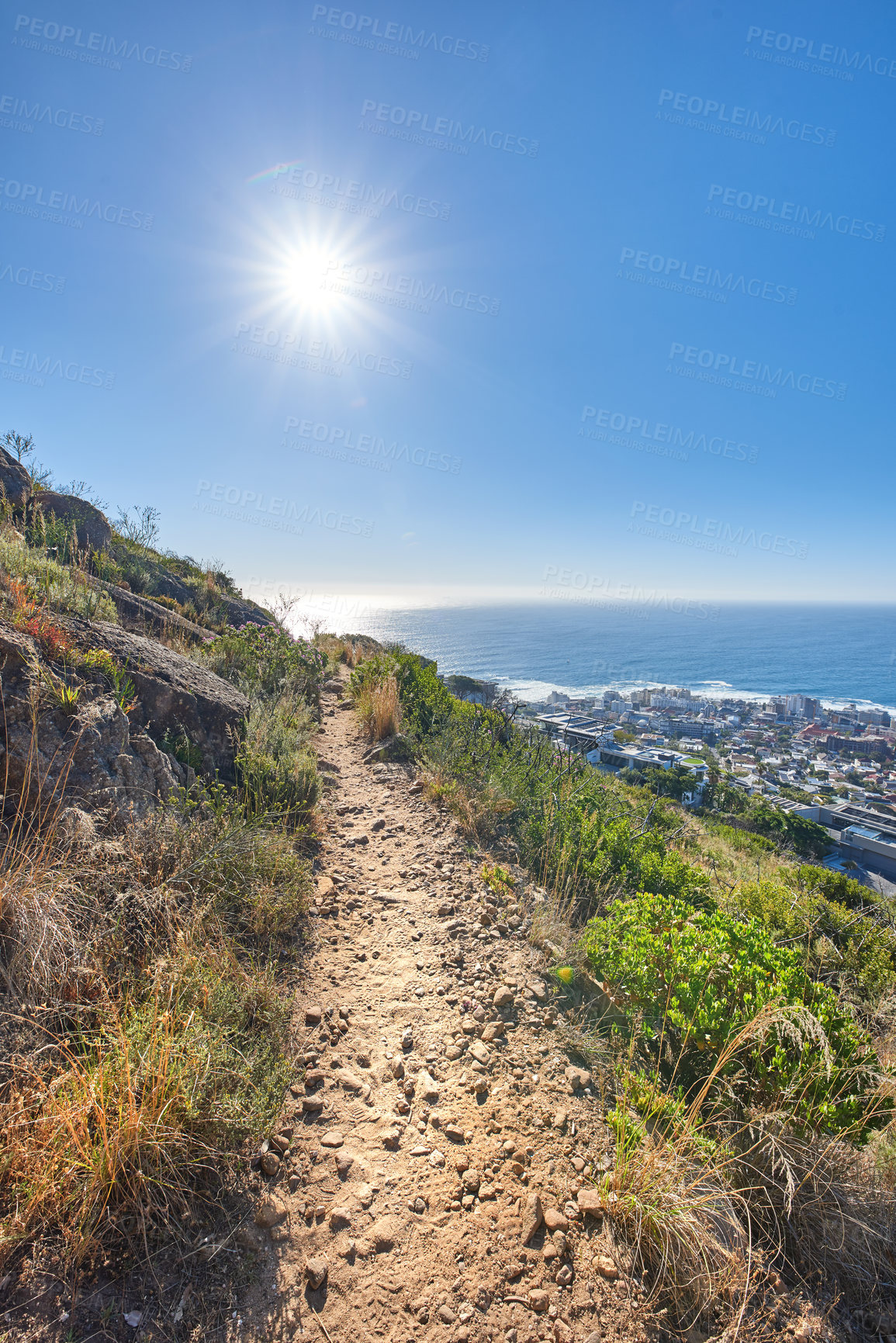 Buy stock photo Hiking trail on Table Mountain with a clear blue sky, cityscape and sea with copyspace. Beautiful landscape of dirt road leading through lush wild bushes and plants. Discover the wonders of Cape town