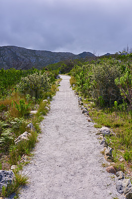 Buy stock photo A path in a nature and plant conservation park on an overcast afternoon. Beautiful landscape of a footpath or pathway outdoors through lush green foilage on a cloudy winter day