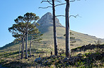 A photo of Lions Head and surroundings