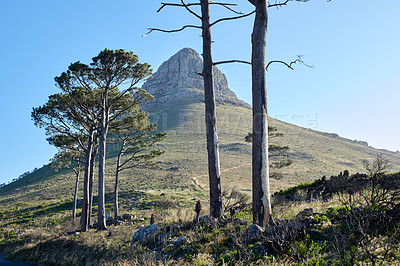 Buy stock photo A photo of Lions Head and surroundings