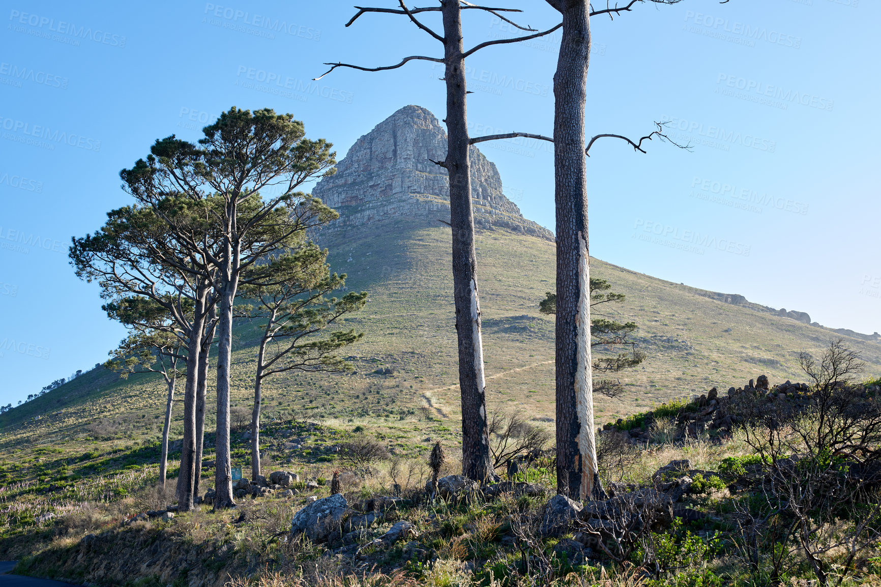 Buy stock photo A photo of Lions Head and surroundings