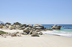Rocky coast 