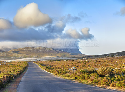 Buy stock photo The wilderness of Cape Point National Park, Western Cape, South Africa