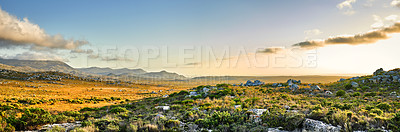 Buy stock photo The wilderness of Cape Point National Park, Western Cape, South Africa