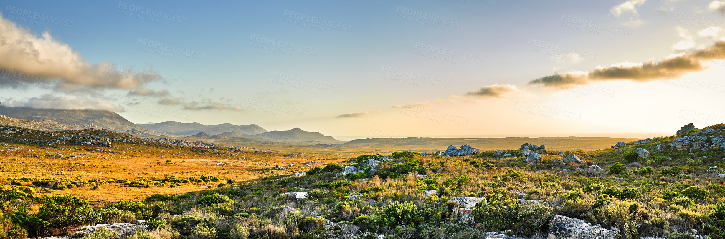 Buy stock photo The wilderness of Cape Point National Park, Western Cape, South Africa